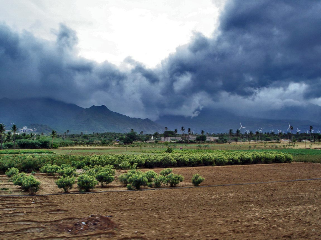 cjmonsoon