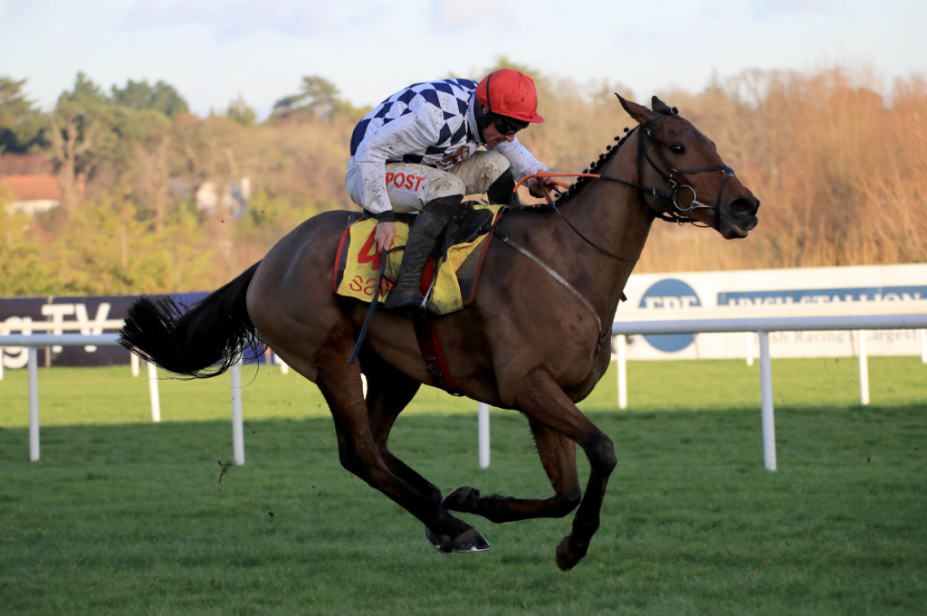 galvin horse