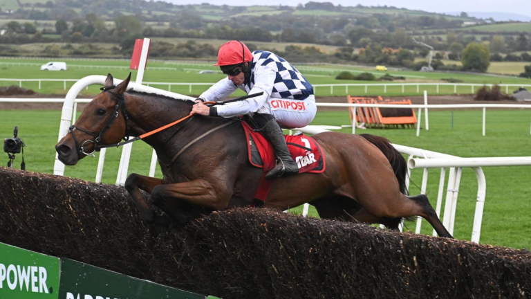 galvin horse
