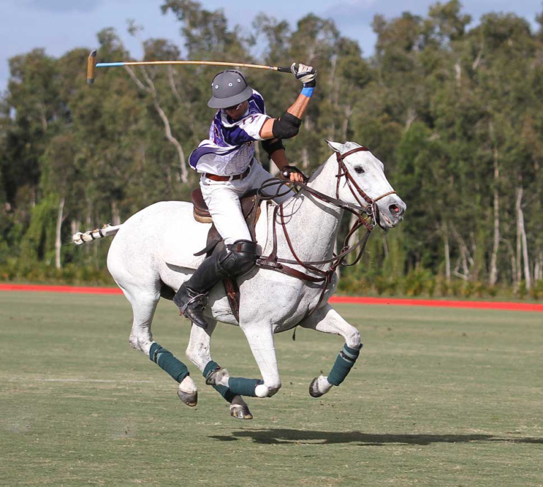 Horse Polo: History, Rules, Horses, Equipment, and Everything You Need to Know horse polo