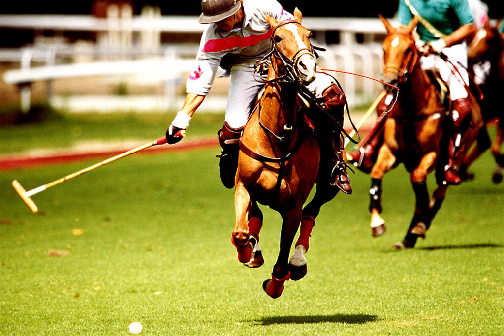 horse polo