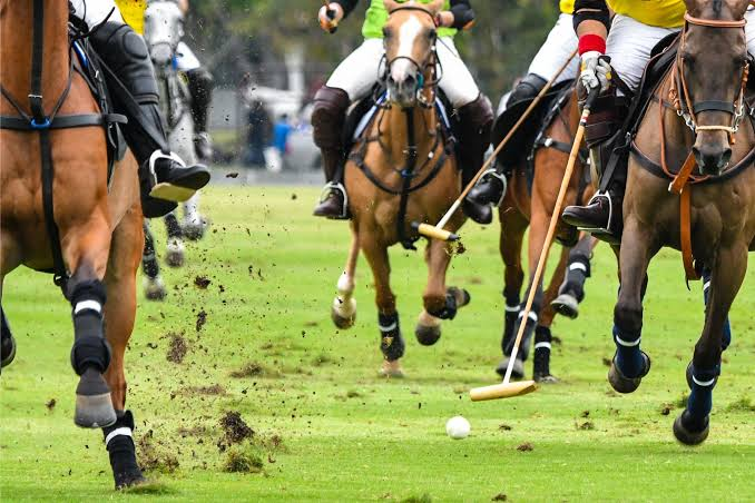 Horse Polo: History, Rules, Horses, Players, and How the Sport Works Horse Polo