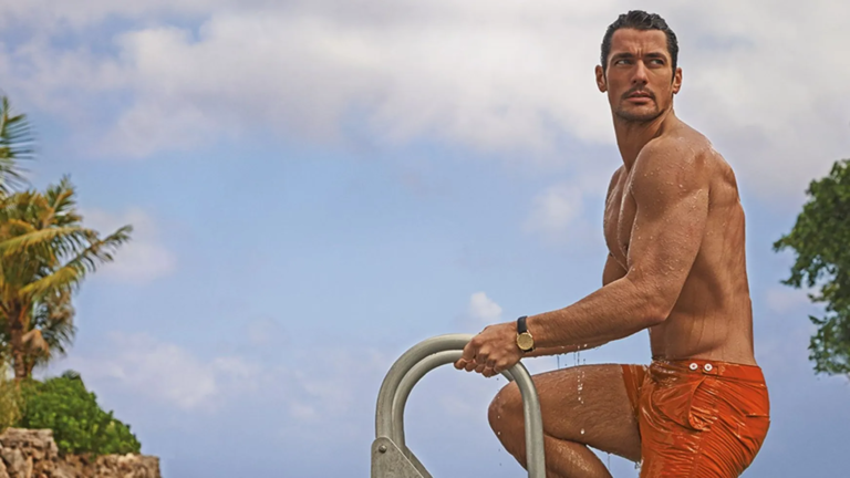 Gandy: Meaning, Origin, History, and What the Name Represents gandy