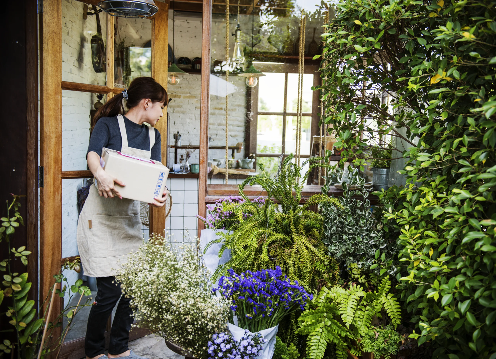 mygardenandpatio robert
