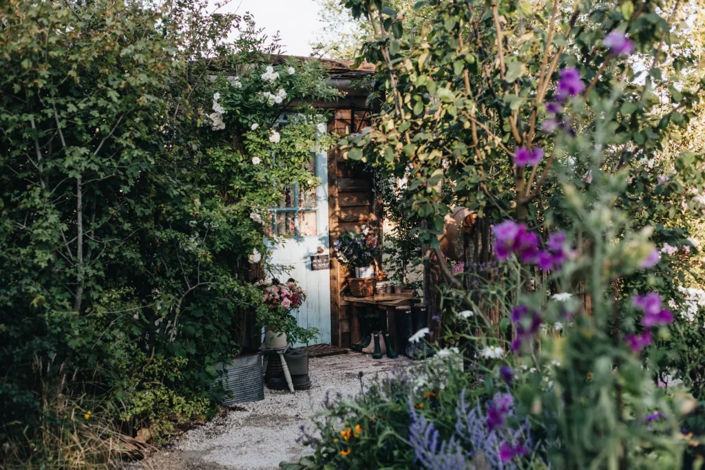 mygardenandpatio robert